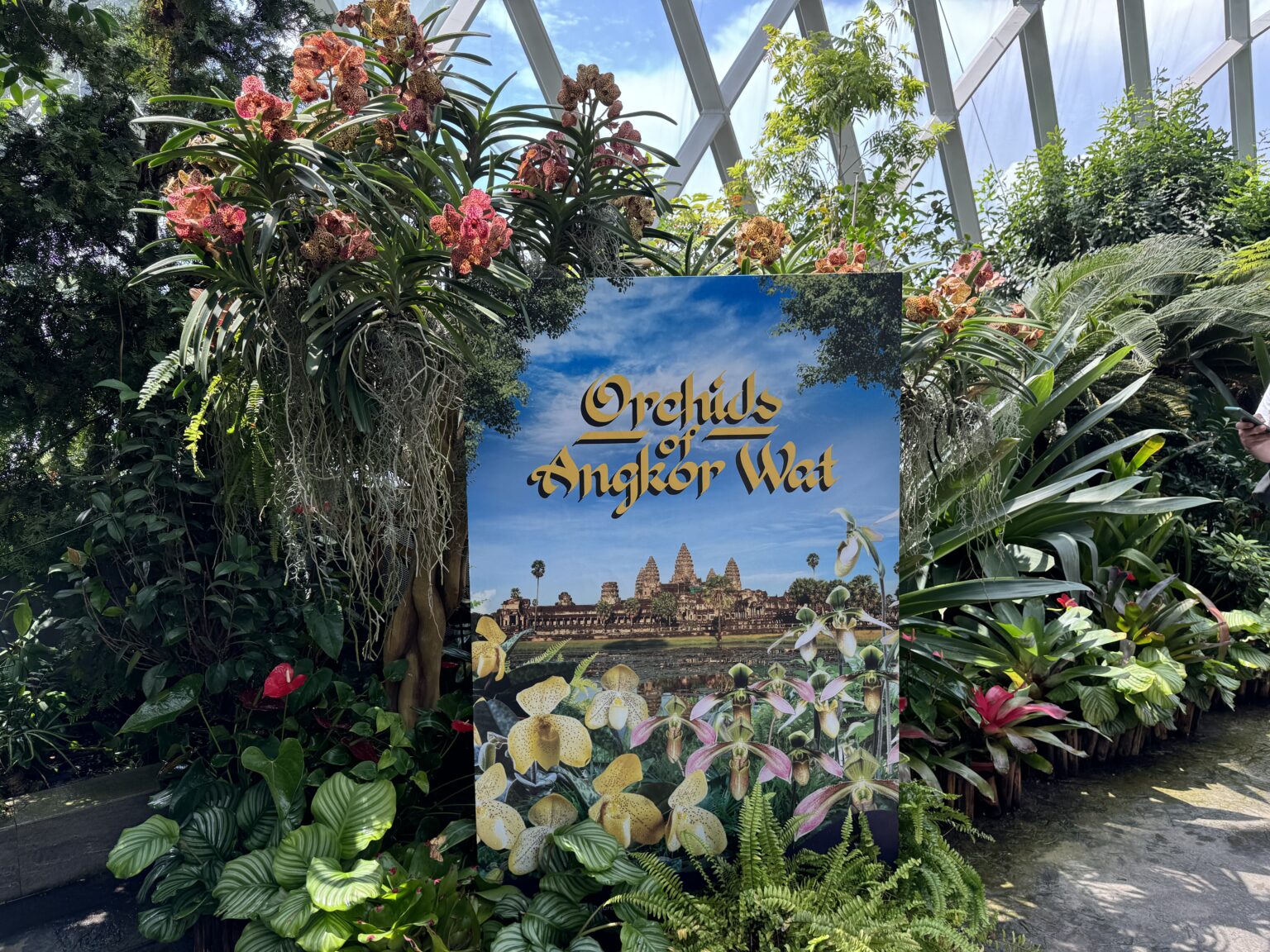当館のスタッフがシンガポールの「Orchids of Angkor Wat